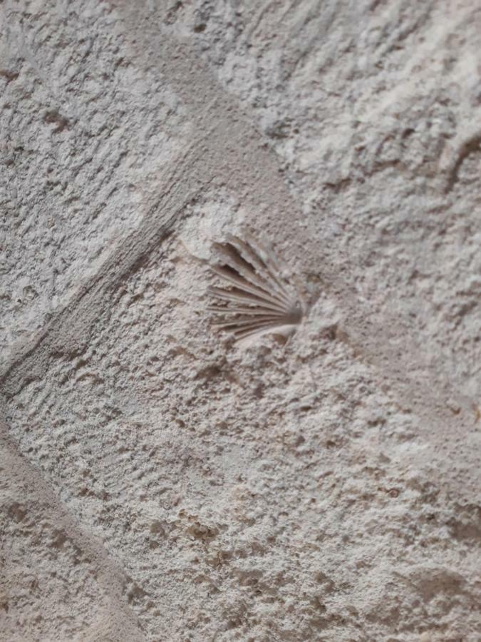 Dimora Sasi Locazione Turistica Lejlighed Polignano a Mare Eksteriør billede
